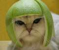JustMyLuck's Avatar